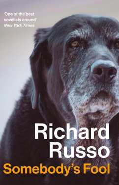 Cover Somebody's Fool (eBook, ePUB)