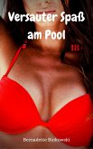 Versauter Spaß am Pool (eBook, ePUB)