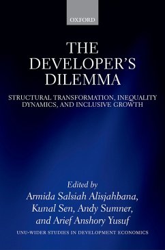 Cover The Developer's Dilemma (eBook, ePUB)