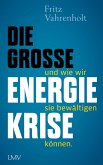 Die große Energiekrise (eBook, ePUB)