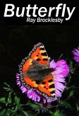 Butterfly (eBook, ePUB) Butterfly (eBook, ePUB)