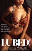 Lubed! (eBook, ePUB)