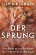 Der Sprung (eBook, PDF) - Bild 1