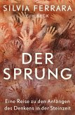 Der Sprung (eBook, PDF)
