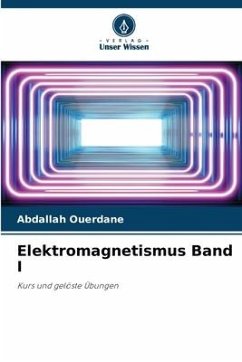 Elektromagnetismus Band I - Ouerdane, Abdallah