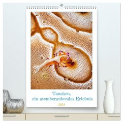 Tauchen, ein atemberaubendes Erlebnis (hochwertiger Premium Wandkalender 2024 DIN A2 hoch), Kunstdruck in Hochglanz - CALVENDO