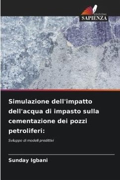 Simulazione dell'impatto dell'acqua di impasto sulla cementazione dei pozzi petroliferi: - Igbani, Sunday