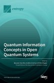 Quantum Information Concepts in Open Quantum Systems