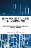 Urban Risk and Well-being in Asian Megacities (eBook, PDF)