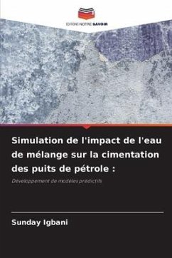 Simulation de l'impact de l'eau de mélange sur la cimentation des puits de pétrole : - Igbani, Sunday