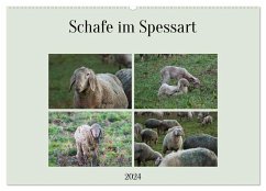 Schafe im Spessart (Wandkalender 2024 DIN A2 quer), CALVENDO Monatskalender