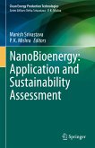 NanoBioenergy: Application and Sustainability Assessment (eBook, PDF)