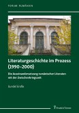 Literaturgeschichte im Prozess (1990-2000) (eBook, PDF)