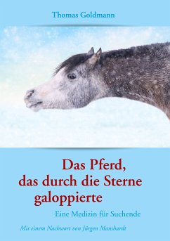 Das Pferd, das durch die Sterne galoppierte (eBook, ePUB) - Goldmann, Thomas