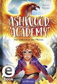 Das Geheimnis des Phönix / Ashwood Academy Bd.2 (eBook, ePUB)