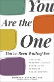 You Are the One You've Been Waiting For (eBook, ePUB)