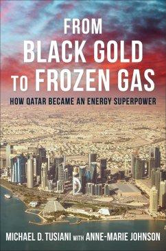 Cover From Black Gold to Frozen Gas (eBook, ePUB)