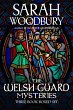 The Welsh Guard Mysteries Three Book... - Bild 1