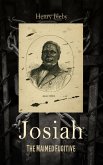 Josiah: The Maimed Fugitive (eBook, ePUB)