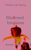 Illusioned Intuitions (eBook, ePUB)