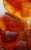 Overflowing Valleys (eBook, ePUB)