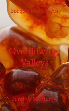 Overflowing Valleys (eBook, ePUB) - McHarry, Jeremy