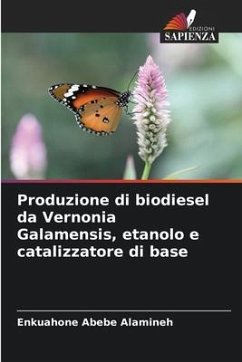 Produzione di biodiesel da Vernonia Galamensis, etanolo e catalizzatore di base - Abebe Alamineh, Enkuahone