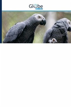 Cover A jákópapagáj (Psittacus erithacus) ex situ védelmének kérdései