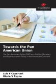 Towards the Pan American Union
