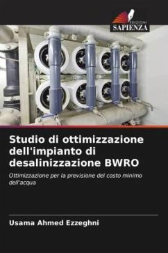 Studio di ottimizzazione dell'impianto di desalinizzazione BWRO - Ezzeghni, Usama Ahmed