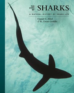 Cover The Lives of Sharks (eBook, ePUB)
