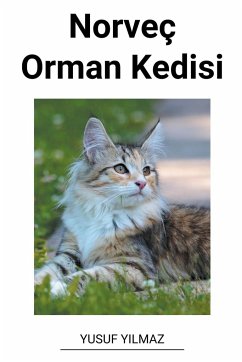 Norveç Orman Kedisi - Yilmaz, Yusuf