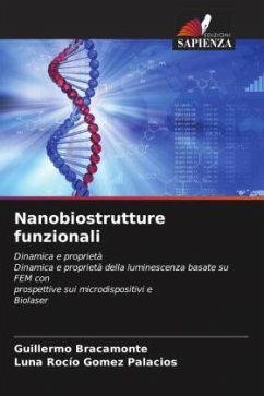 Cover Nanobiostrutture funzionali
