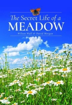The Secret Life of a Meadow - Wall, Wilson; Morgan, David