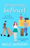 Remaining ImParcel (eBook, ePUB)