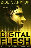 Digital Flesh (eBook, ePUB)