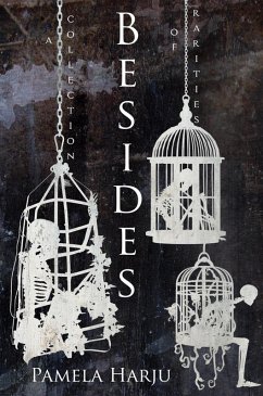 Cover Besides (eBook, ePUB)