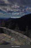 In The Mountains of Ilaria: The Hidden Meadow