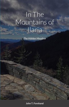 In The Mountains of Ilaria: The Hidden Meadow - Forehand, John T.