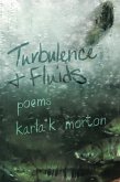 Turbulence & Fluids (eBook, ePUB)