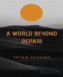 A World Beyond Repair (eBook, ePUB) - Bild 1