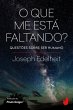 O que me está faltando? (eBook, ePUB) - Bild 1