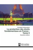 La protection des droits fondamentaux en France - Tome II