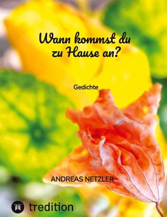 Wann kommst du zu Hause an? - Netzler, Andreas