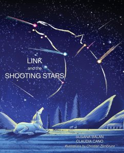 Link and the Shooting Stars - Balan, Susana; Cano, Claudia