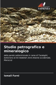 Studio petrografico e mineralogico - Farni, Ismail