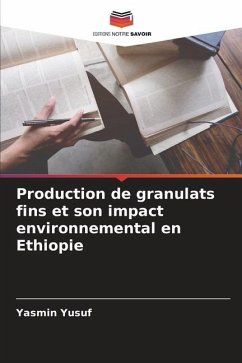 Production de granulats fins et son impact environnemental en Ethiopie - Yusuf, Yasmin