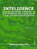 Inteligence (eBook, ePUB)