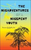 The Misadventures of a Misspent Youth: A Memoir
