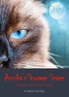 Annika's Storage Space: Thirteen Sinister Stories - Wetzel, Florence